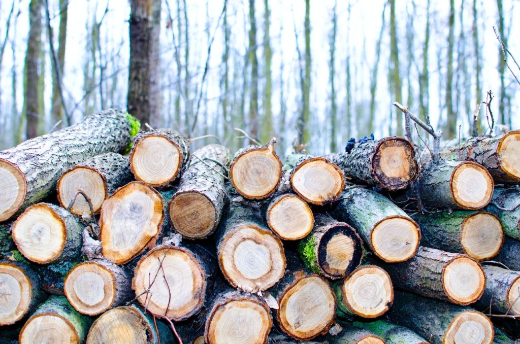 Northeast Timber Exchange Price List